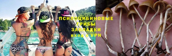 СК Аркадак