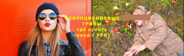 прущий лед Арсеньев